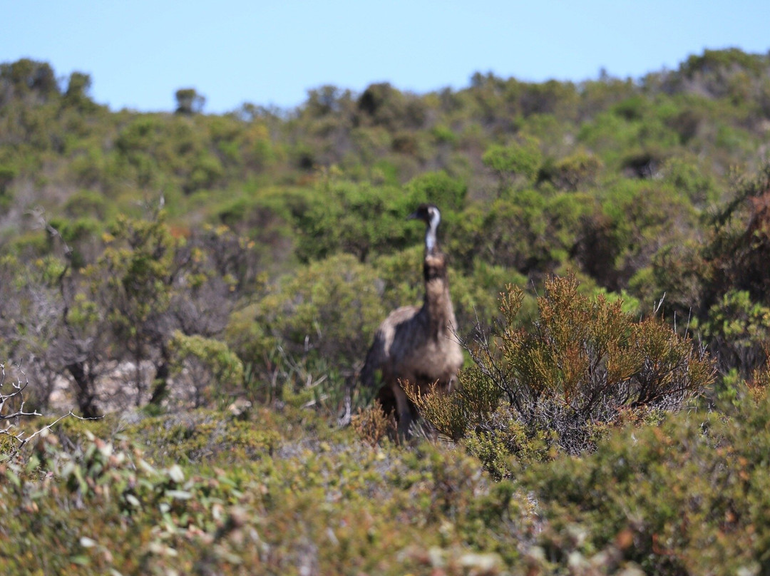 Coffin Bay National Park-哥芬湾必去景点