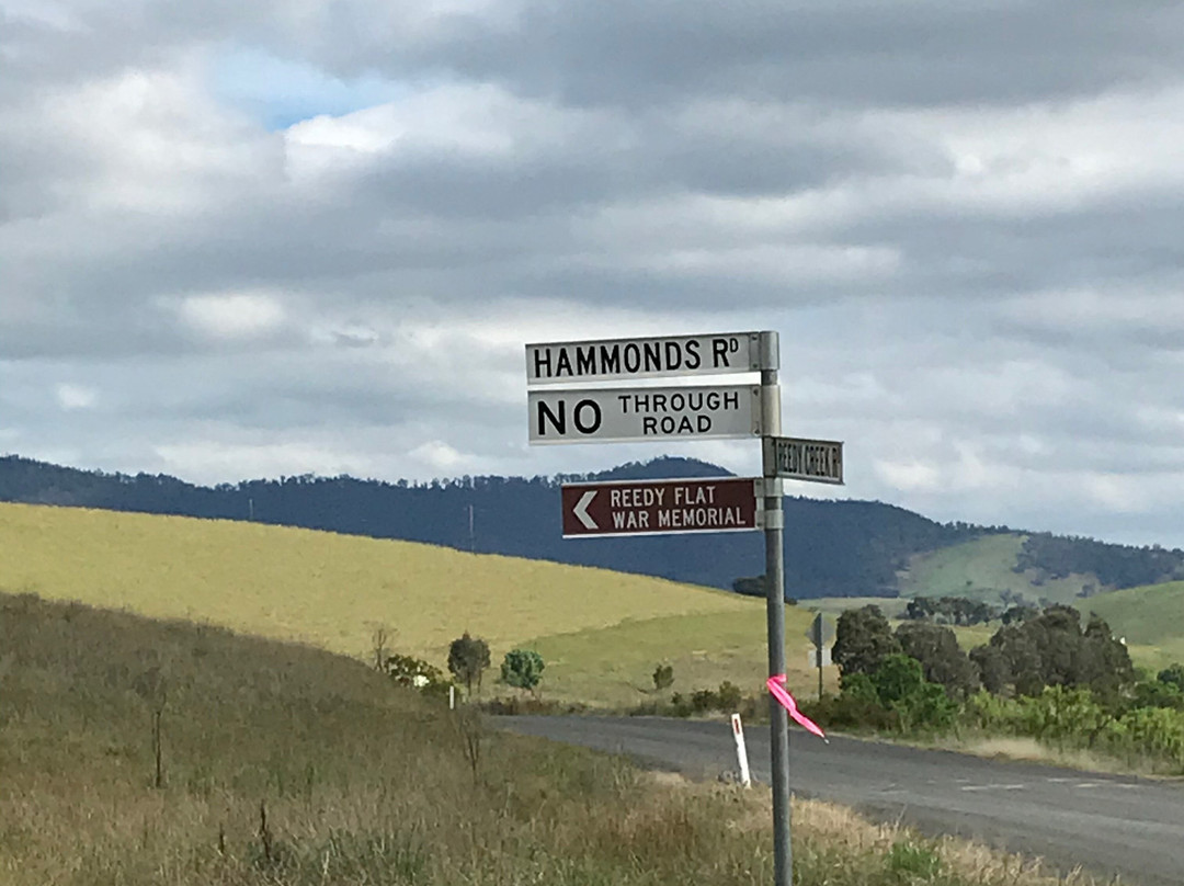 Reedy Flat War Memorial-Ensay必去景点