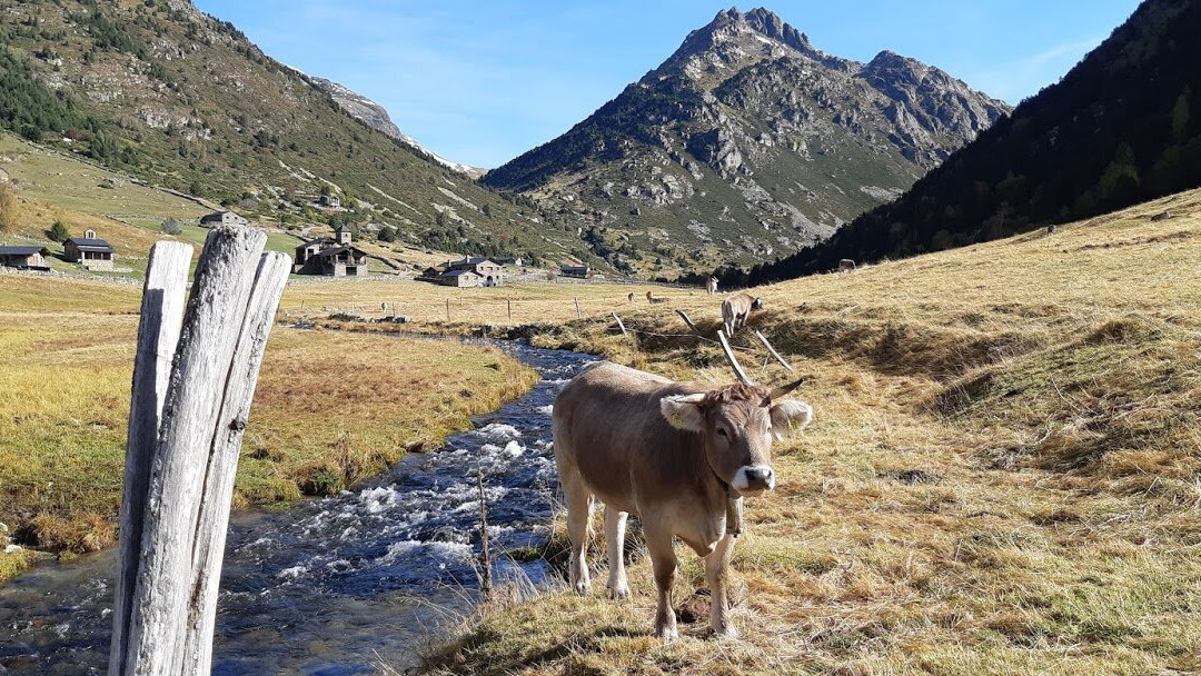 Hotel Llop Gris主图