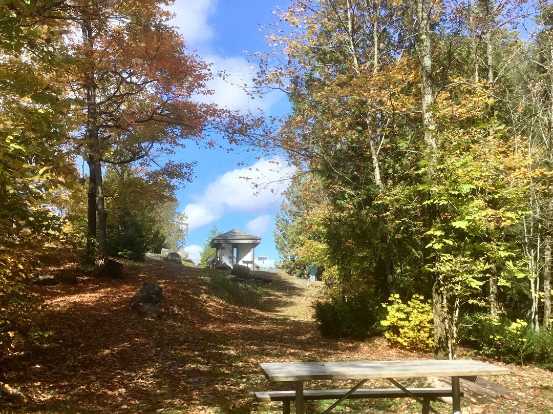 Hawk Lake Log Chute景点图片