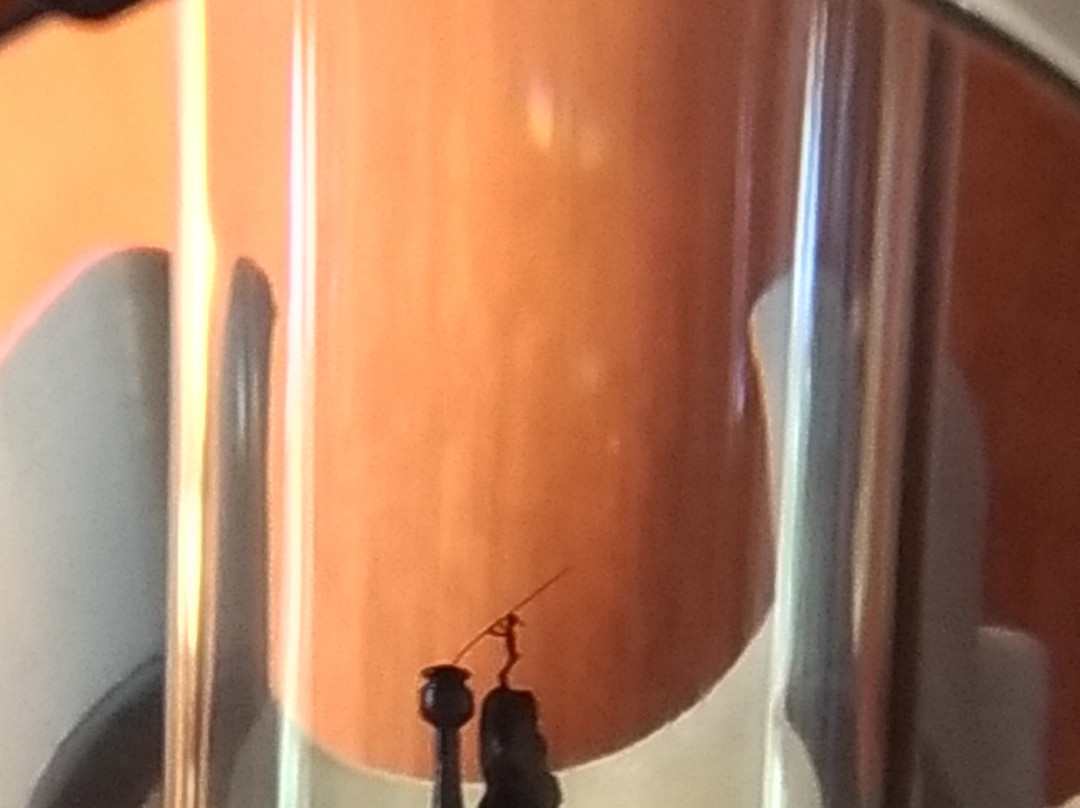 Micro Miniature Museum