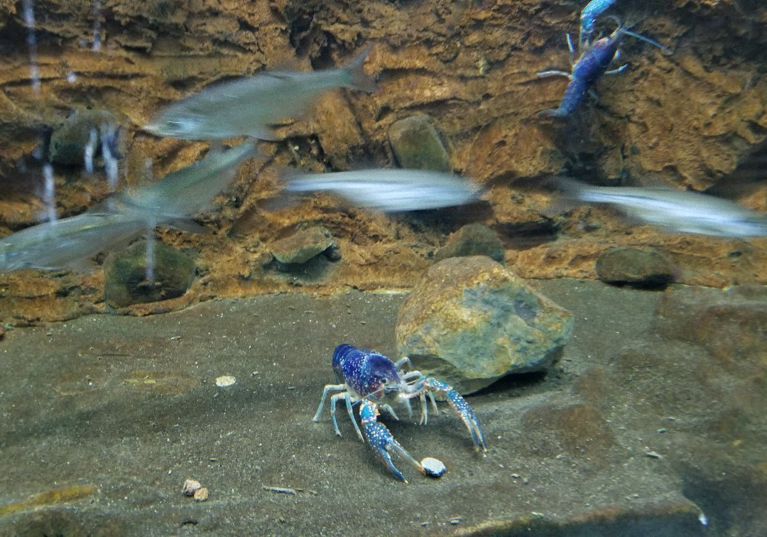 Museo de la Ciencia de Valladolid-瓦拉杜利德必去景点
