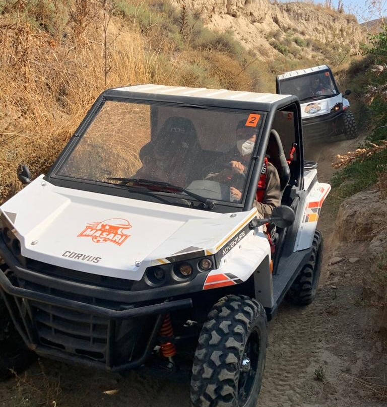 Monkeyland-阿米拉必去景点