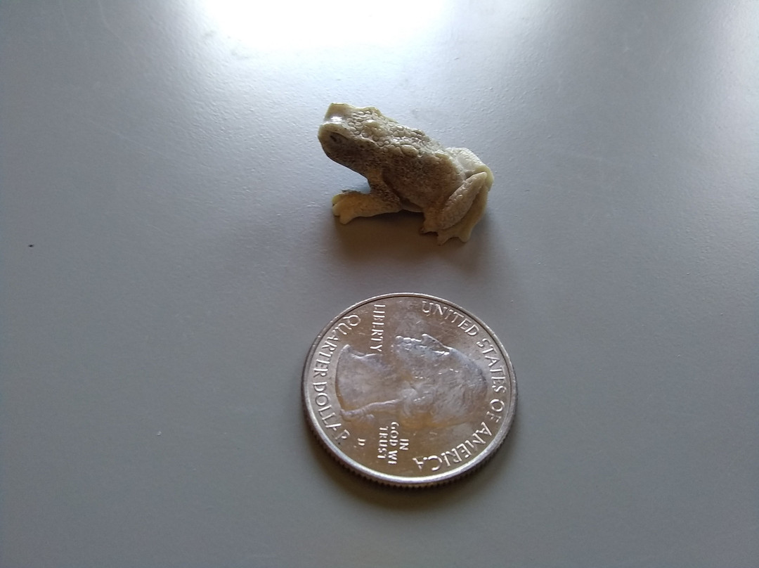 Inua The Spirit of Alaska-荷马必去景点