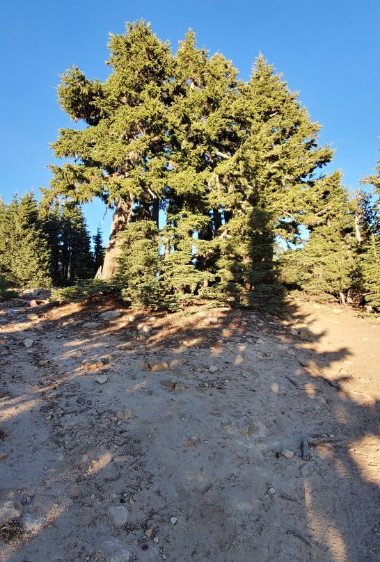 Lassen Volcanic National Park Hiking Trails景点图片