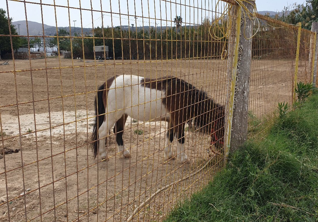 Horse Park Rethymno-Platanias必去景点