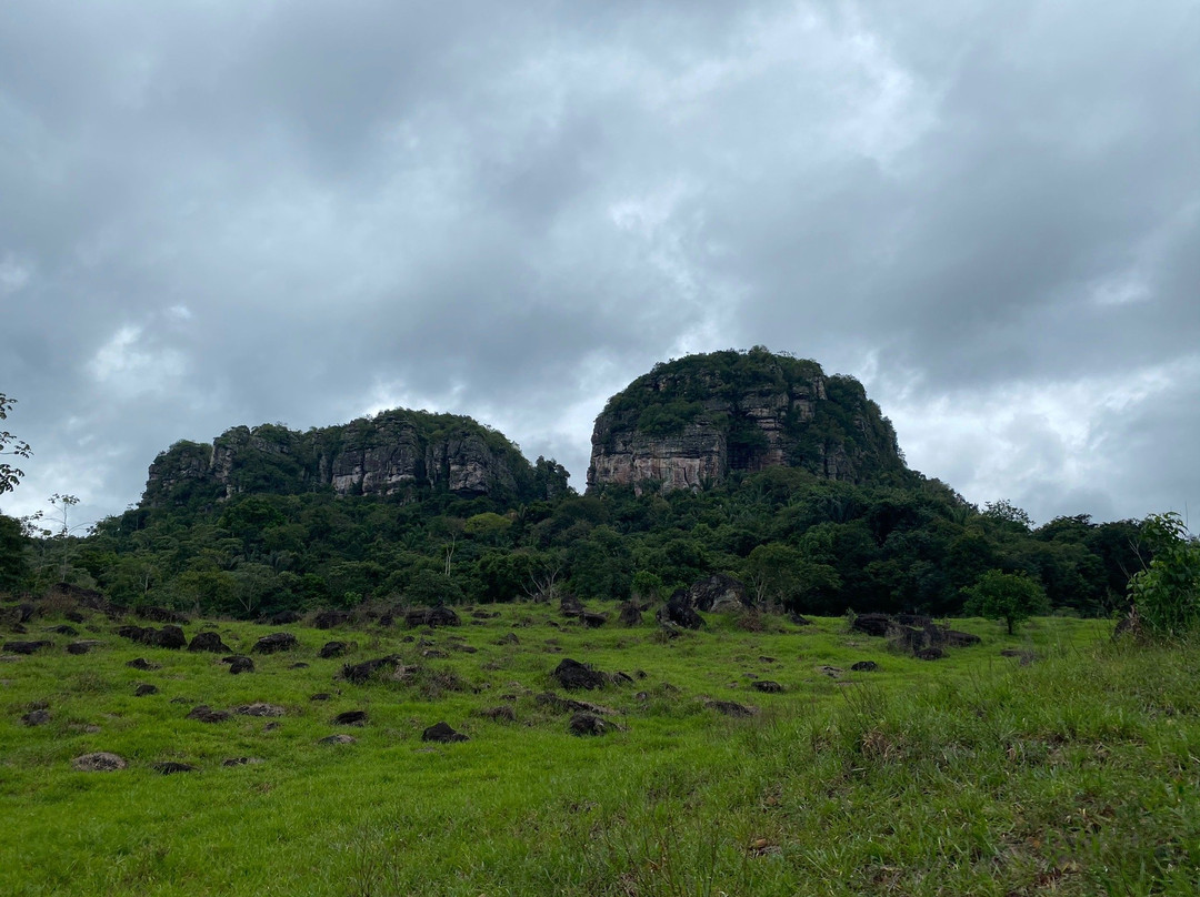 Biodiverso Travel景点图片