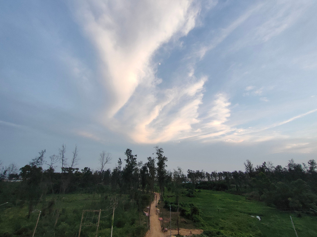 Cygnett Inn Sea View主图