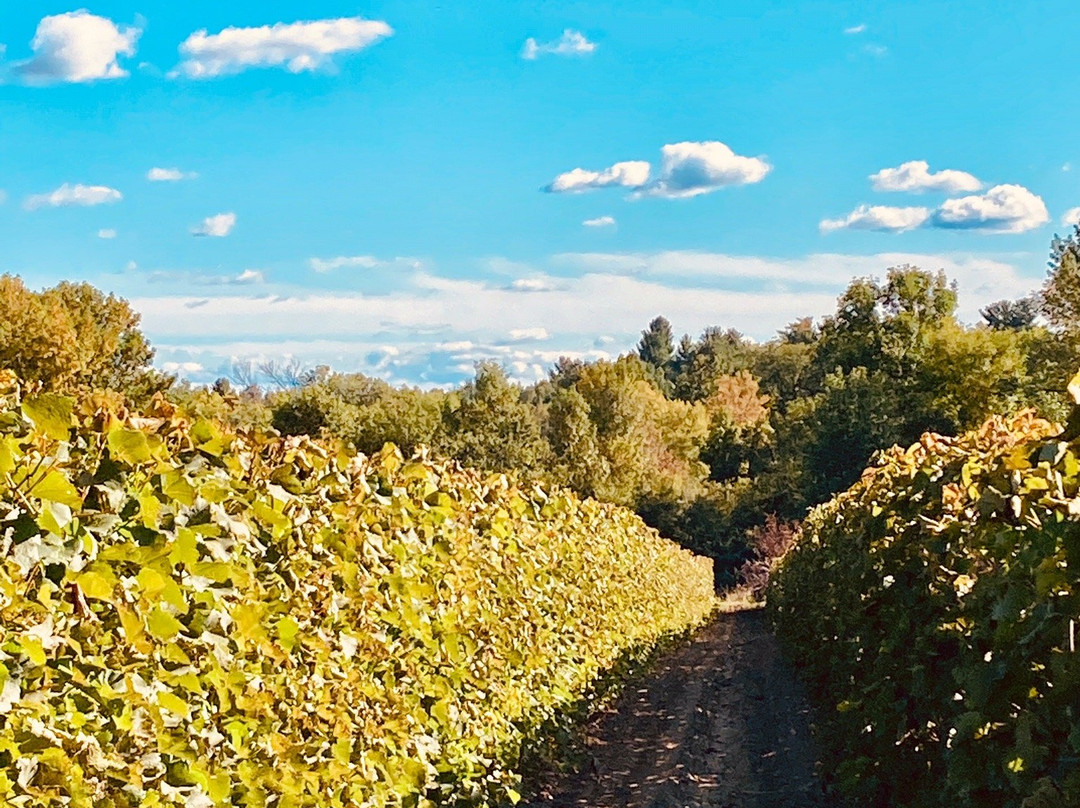 Domaine des salamandres景点图片