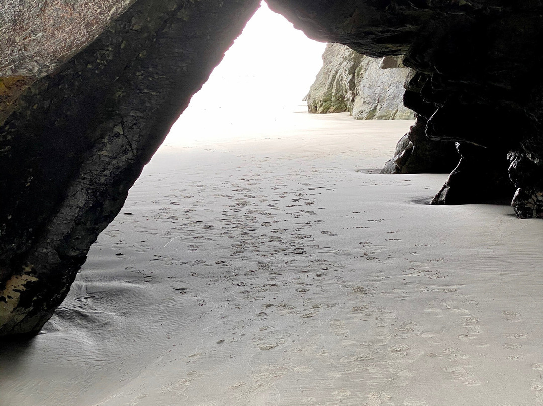 Waitati旅游攻略图片