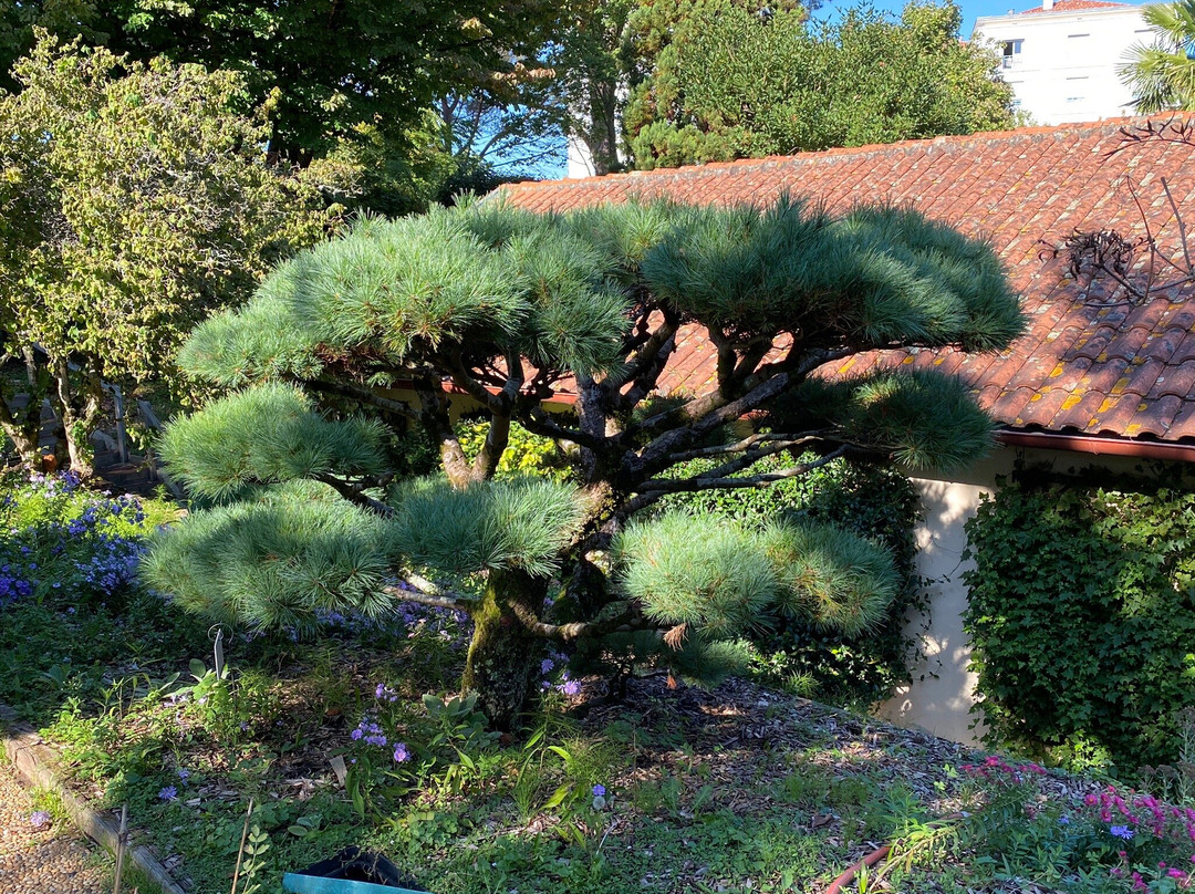 Jardin Botanique景点图片