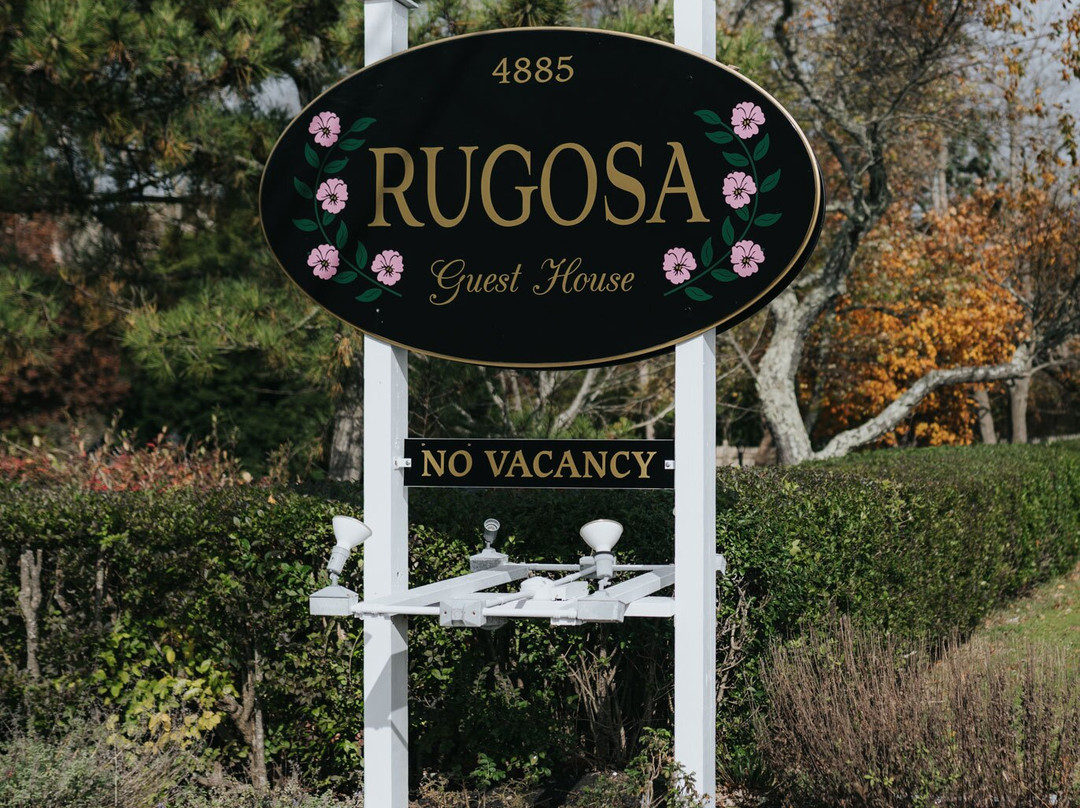 The Rugosa