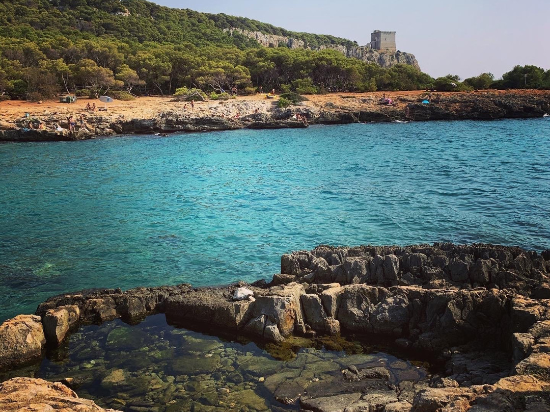 Parco Naturale Regionale di Porto Selvaggio-纳尔德奥必去景点