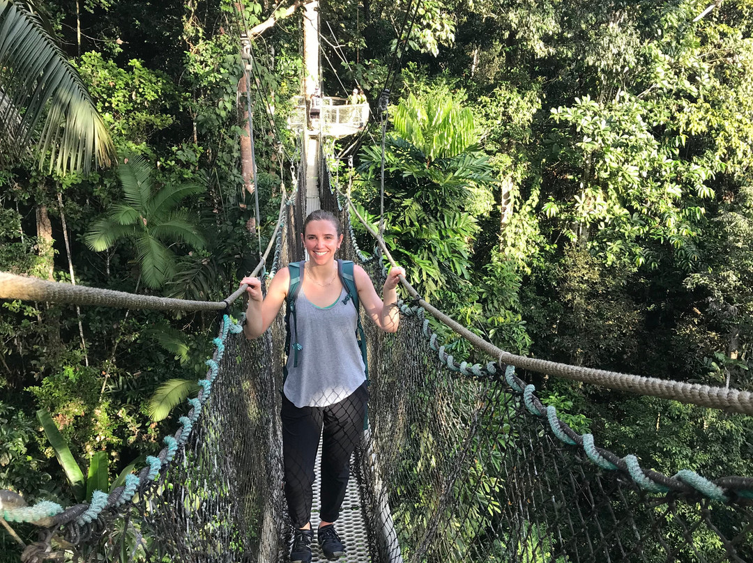 Iwokrama Canopy Walkway景点图片