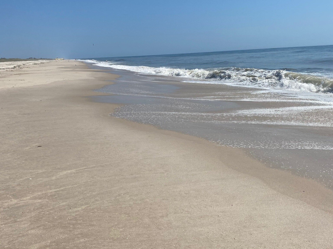 Cupsogue Beach County Park景点图片