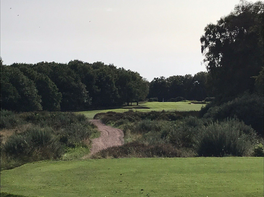 Alwoodley Golf Club景点图片