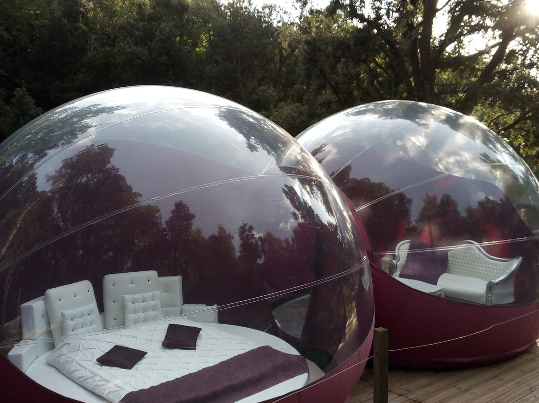 Les Perles Catalanes主图