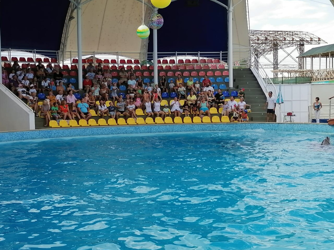 Dolphinarium Koktebel-Koktebel必去景点
