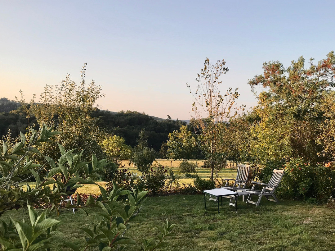 B&B Fleur de Lys Bleue主图