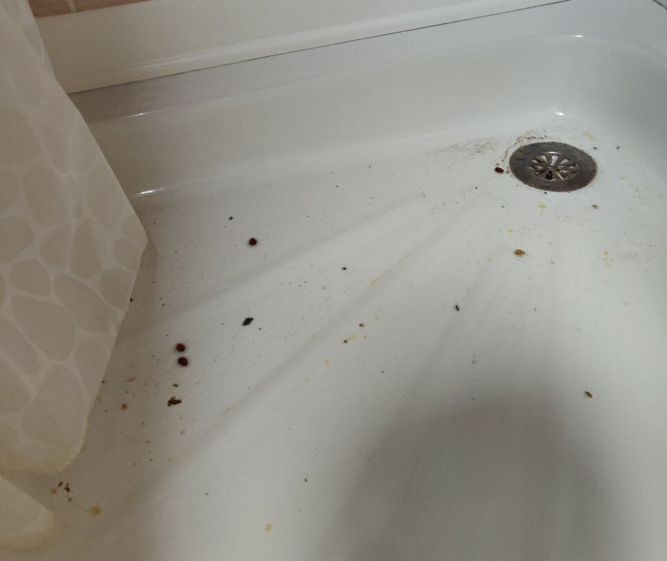 B&B Podere Lamaccia主图