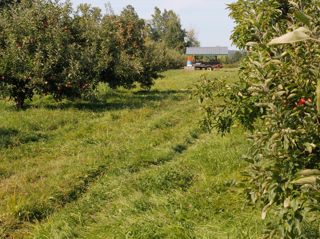 Shelburne Orchards-谢尔本必去景点