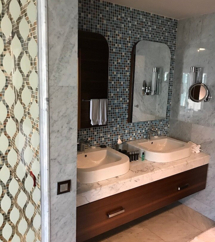 Renaissance Izmir Hotel主图