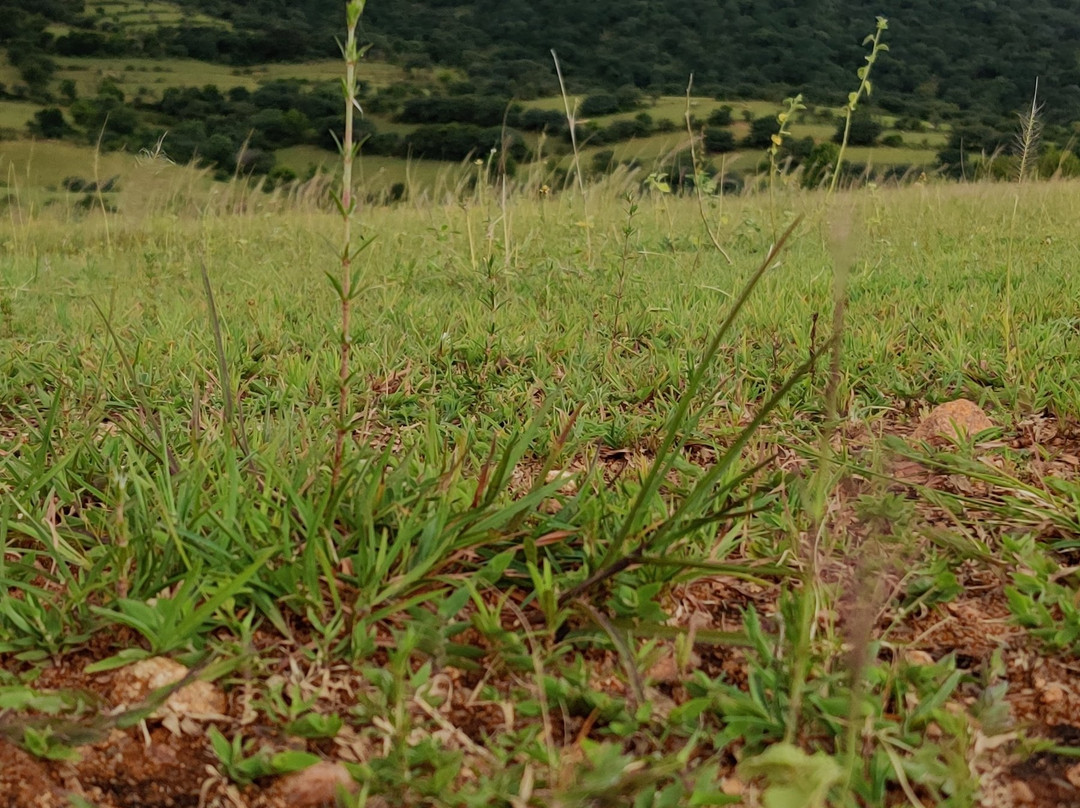 Mekedatu-Kanakapura必去景点