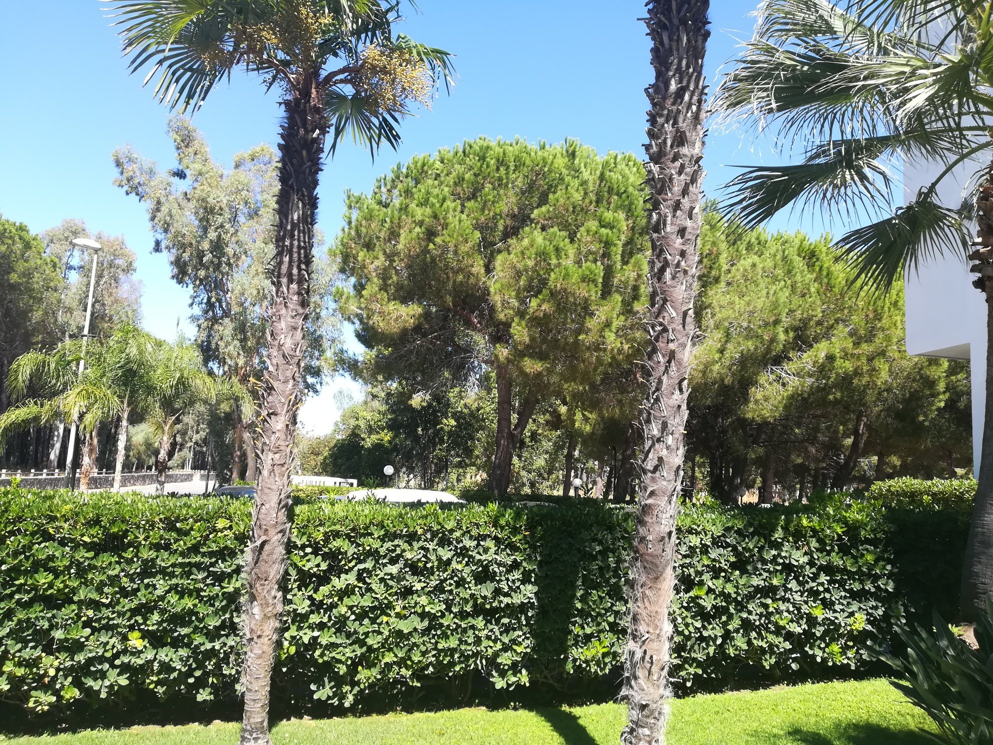 Hotel Le Palme-浴室