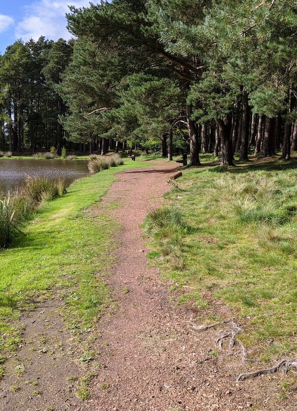 Braidwood Pond景点图片