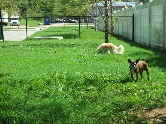 La Quinta Inn & Suites by Wyndham Chattanooga - Lookout Mtn主图