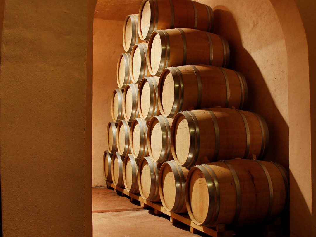 Bodega Las Virtudes景点图片