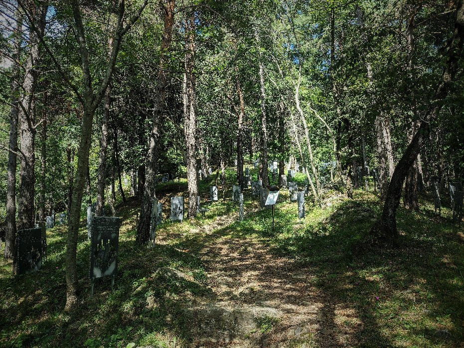 Bosco delle Penne Mozze景点图片