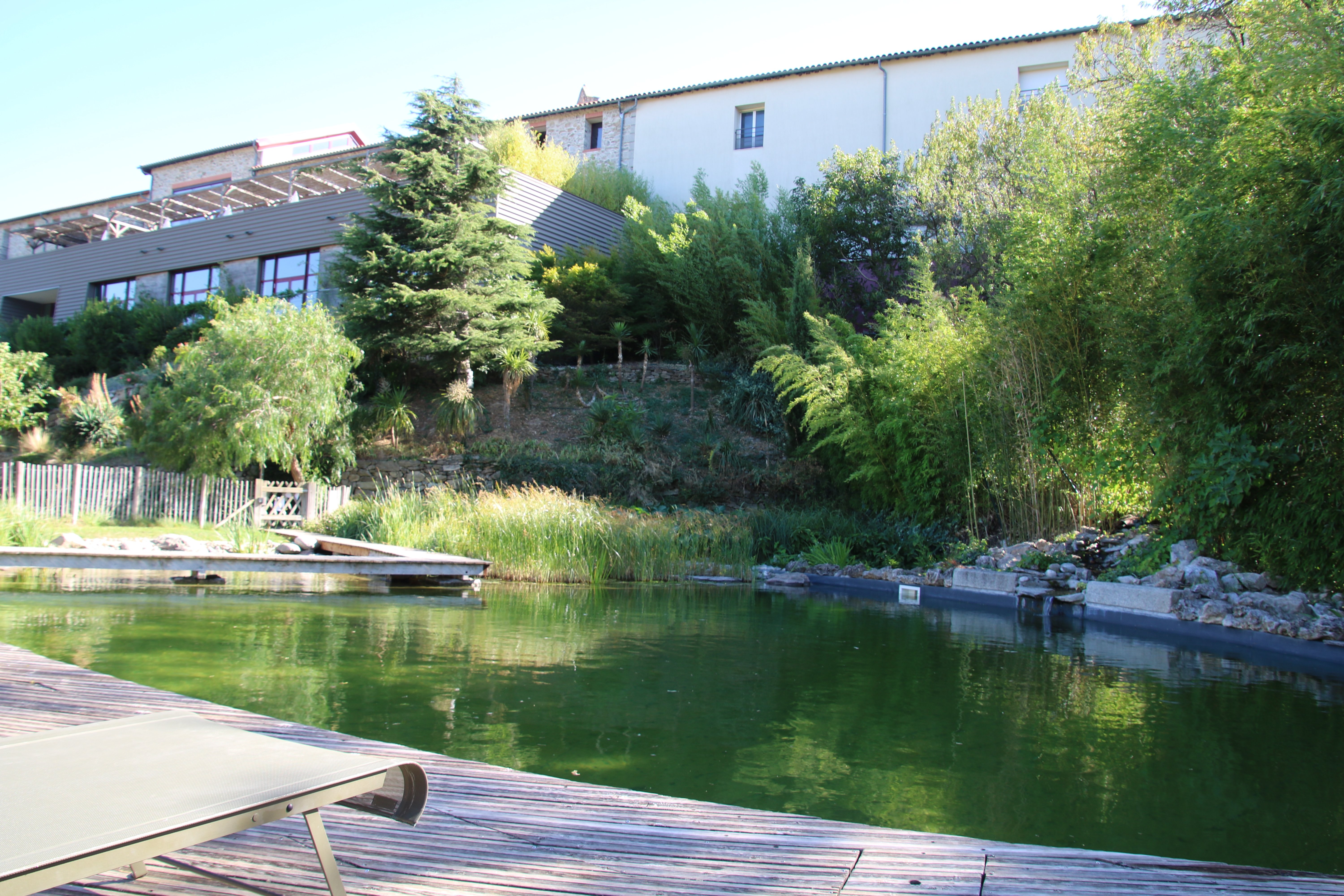 Hotel Domaine Riberach-泳池