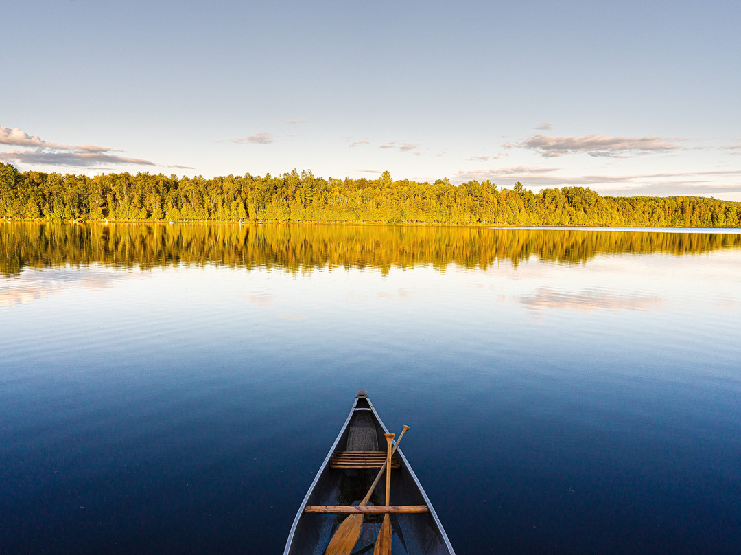 A L'Aube du Nord主图