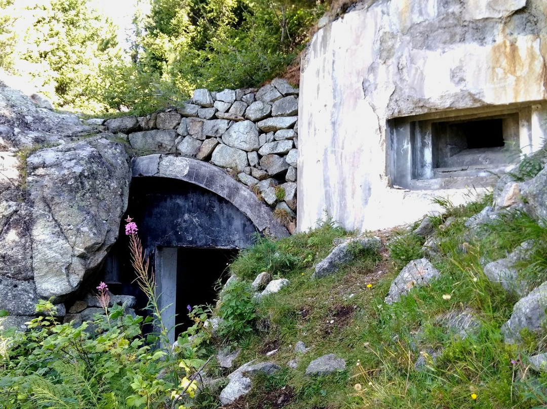 Sbarramento Passo Resia景点图片