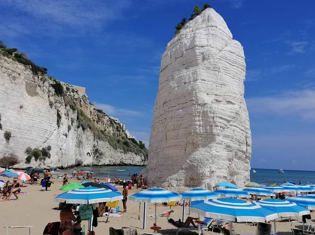 Residence Torre Silvana主图