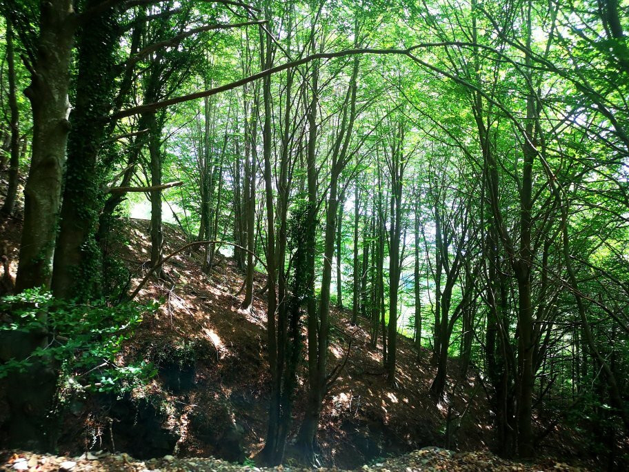 Parc Natural del Montseny景点图片