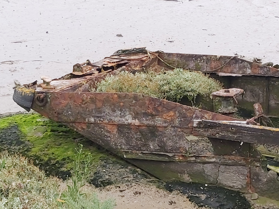 Oare Marshes Nature Reserve景点图片