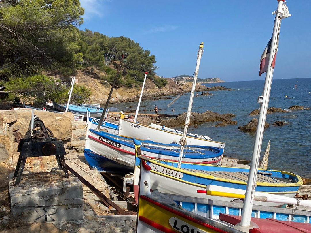 Plage de la Verne景点图片