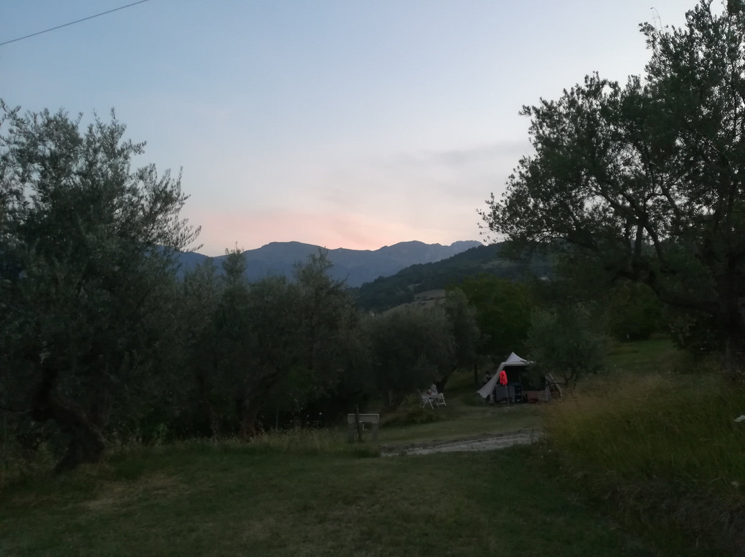 Campsite Rocca di Sotto主图