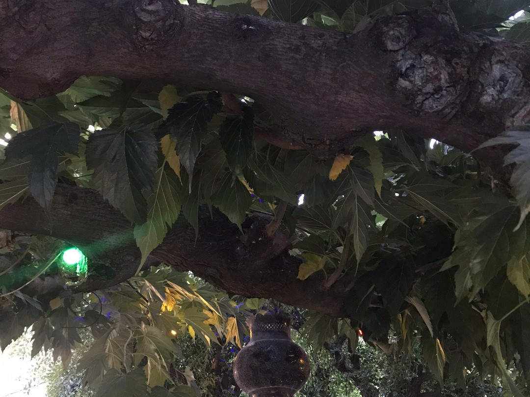 Hostellerie de La Tour主图