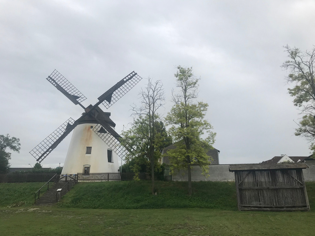 Windmühle Podersdorf am See-Podersdorf am See必去景点