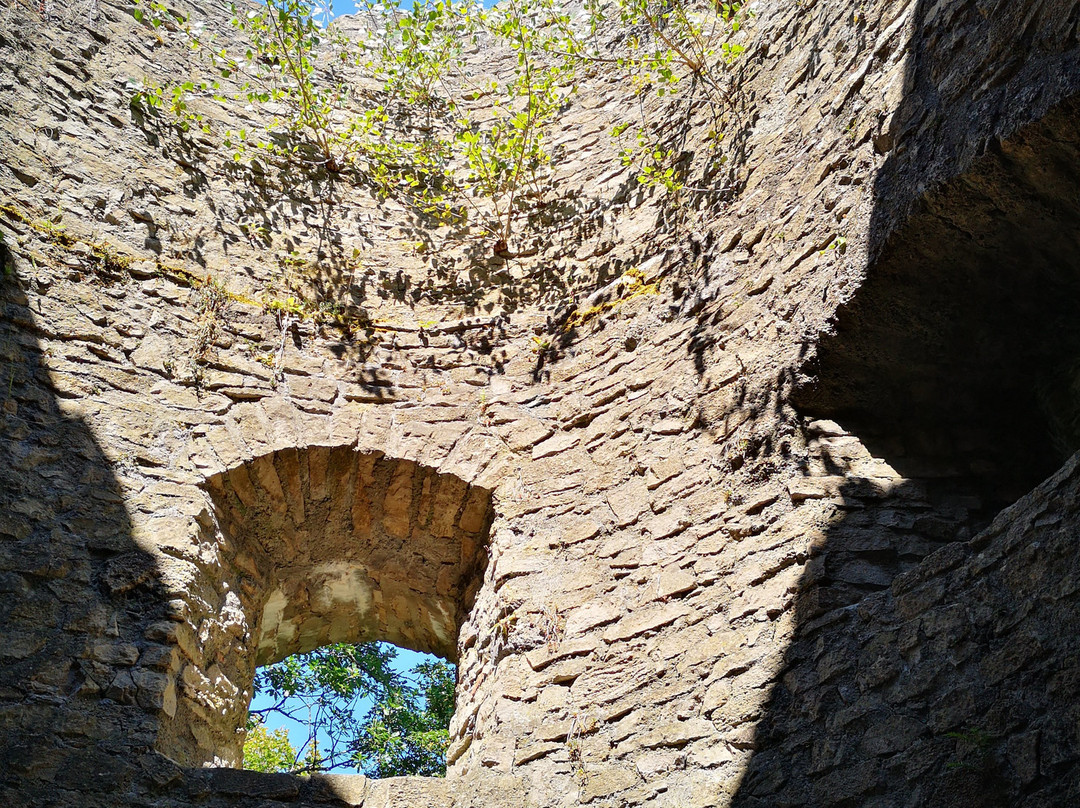 Burgruine Schenkenberg-Thalheim必去景点