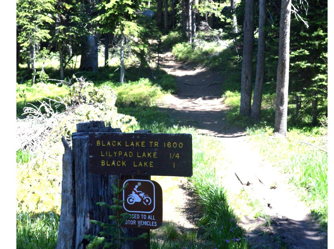 Anthony Lakes Campground-Haines必去景点