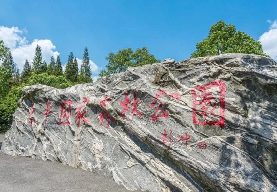 Relaxing and ecological experience in Chongming, Shanghai.-崇明县必去景点