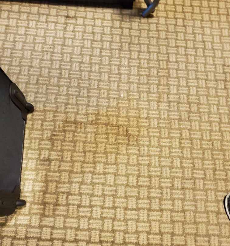 Comfort Inn & Suites主图