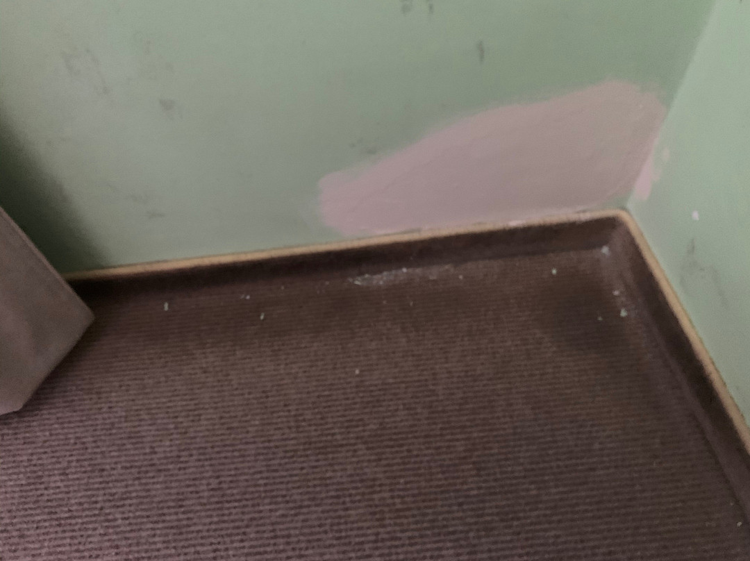 Aktivhotel Weisser Hirsch主图