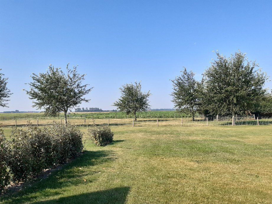 Hof van Renesse主图