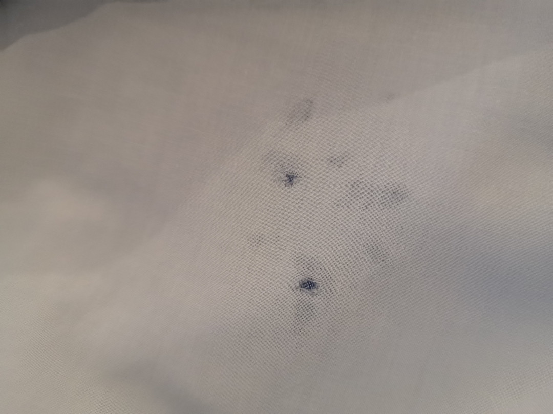 Novecamere Resort Sirolo主图