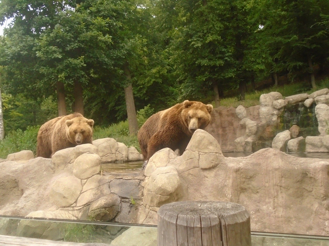 Zoo Brno景点图片